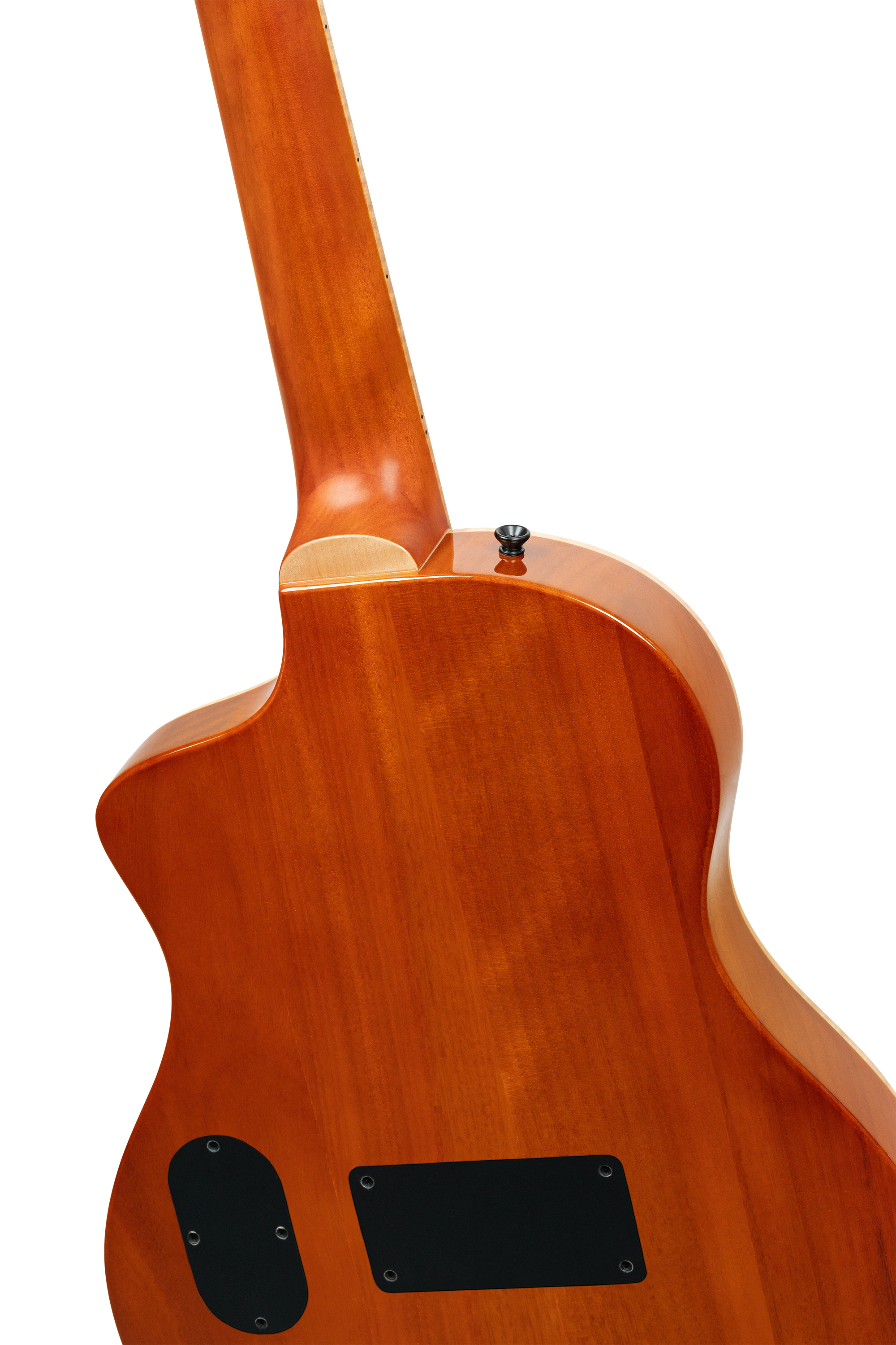 RTPG-LS1 Konzertgitarre TourPlayer Serie